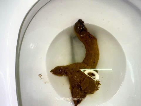 Big Snake in Costa Rica (Pulsifer Paprocki) UltraHD 4K/338 MB