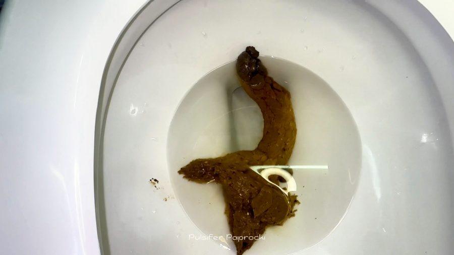 Big Snake in Costa Rica (Pulsifer Paprocki) UltraHD 4K/338 MB