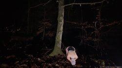 EmilyAdda657567567567ms – Into The Woods 00002