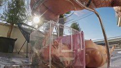 The Box – Qs, 654456456546Nazryana 00002