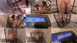 electric_vib645646546ration_part_2_0001.ScrinList